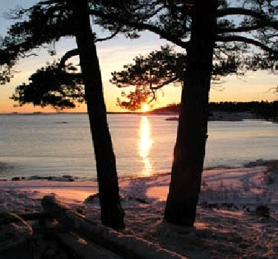 Bild från anläggningen